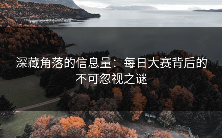 深藏角落的信息量：每日大赛背后的不可忽视之谜