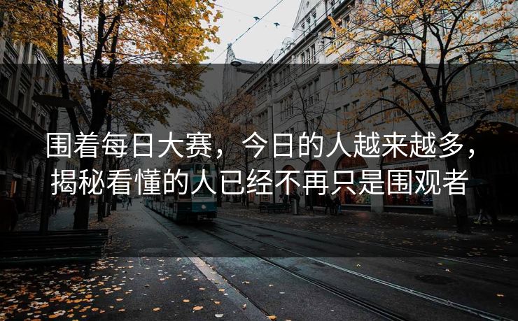 围着每日大赛，今日的人越来越多，揭秘看懂的人已经不再只是围观者